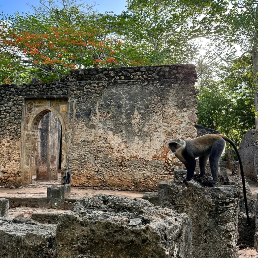 ROVINE DI GEDE KENYA