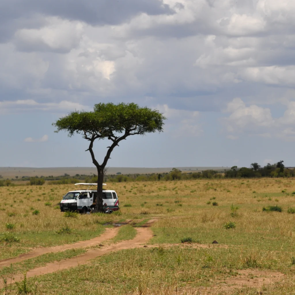 MAASAI MARA NATIONAL RESERVE