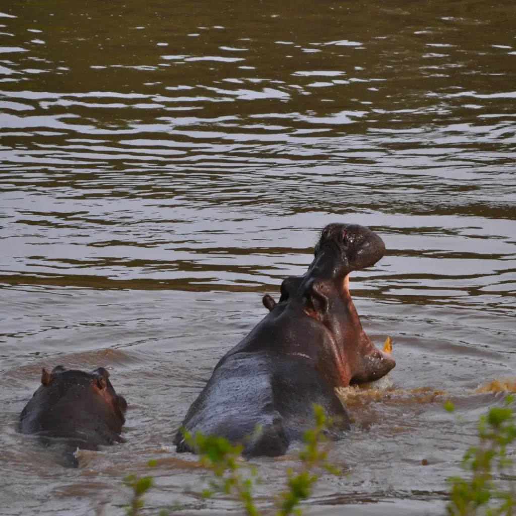 TSAVO WEST NATIONAL PARK