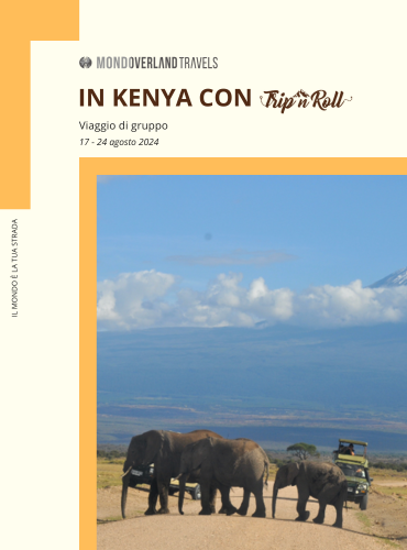 Elefanti ad Amboseli